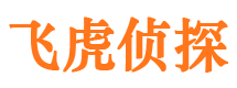 武陵源侦探公司